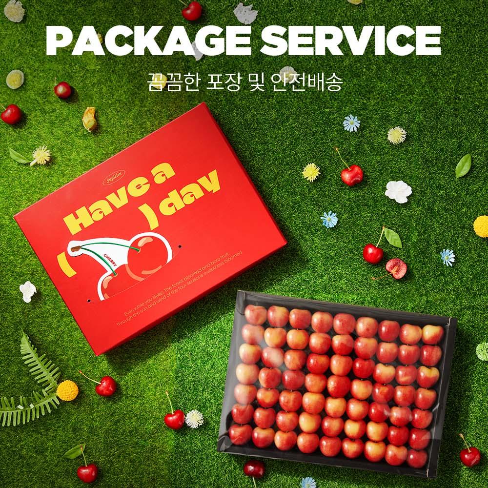 Cherry様　リクエスト商品　五点セット 韓国スプリン爽やか “HAVE A CHERRY DAY” チェリーギフトセット 650g