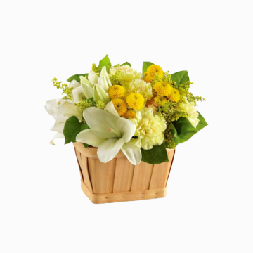 Flower occasion image