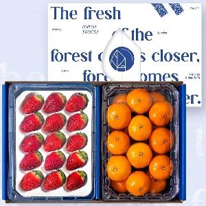 "All About Winter Fruits" Premium Strawberry&Mandarin Gift Set (1.6kg) product image