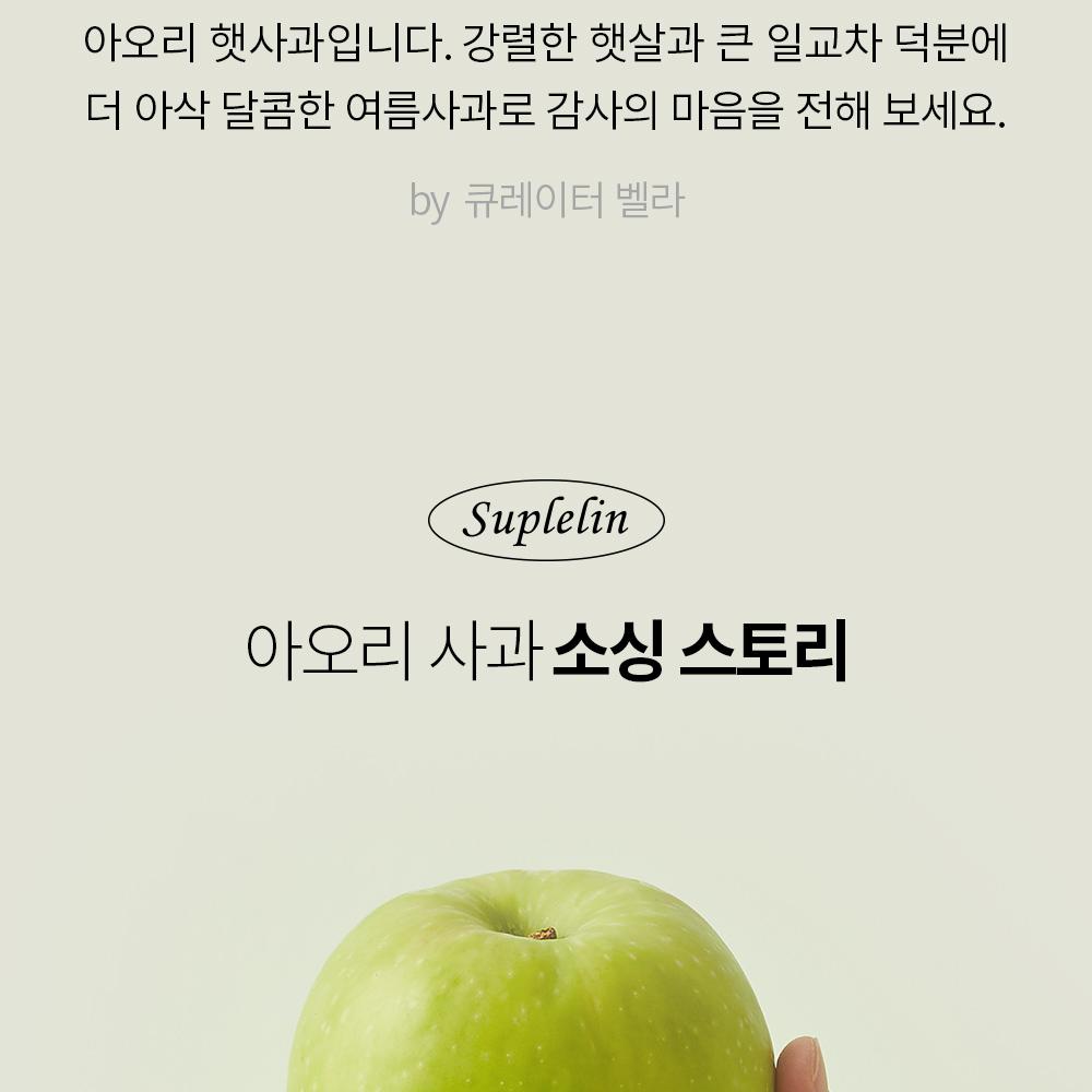 韓国スプリンシャキッと甘い 青りんご「アオリ」 2kg（8〜12玉