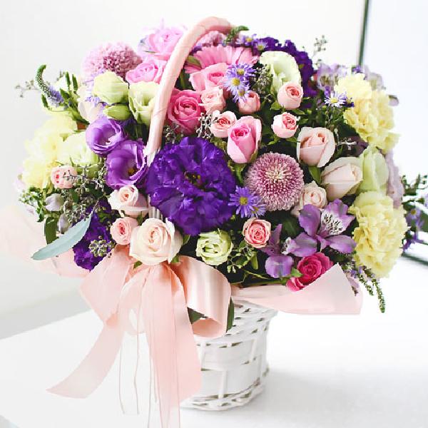 Olivia product image