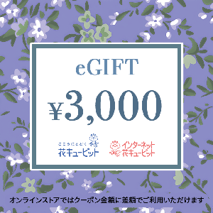 【Memorial】Nationwide Common Flower and Greenery Gift Card 3,000 yen product image