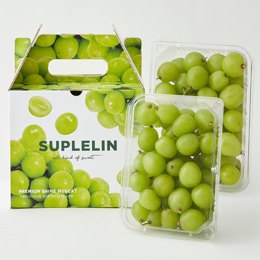 韓国フルーツ・ナッツスプリン-プレミアム高糖度シャインマスカット