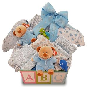 Double the Fun Twin Boys Gift Basket product image