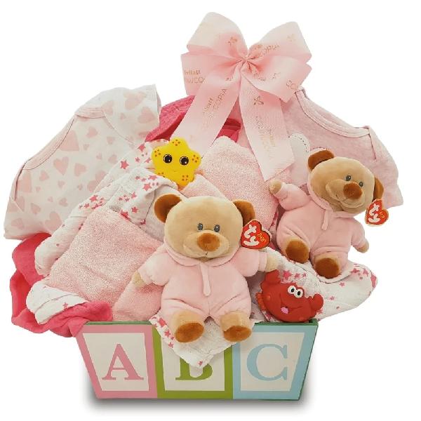 Double the Fun Twin Girls Gift Basket product image
